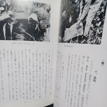 「黄八丈 : その歴史と製法 改訂版」荒関哲嗣 著 、染　織　着物　日本伝統文化　八丈島　草木染め　絹織物_画像5