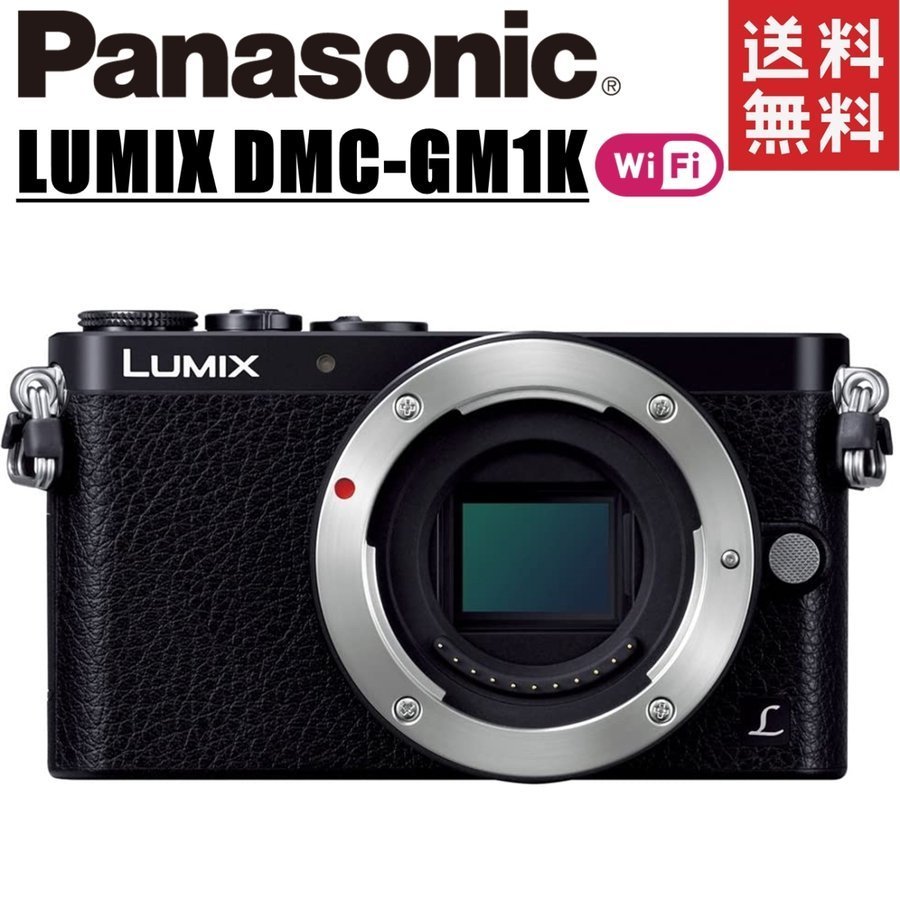 2023年最新】ヤフオク! -lumix gm1 ボディの中古品・新品・未使用品一覧