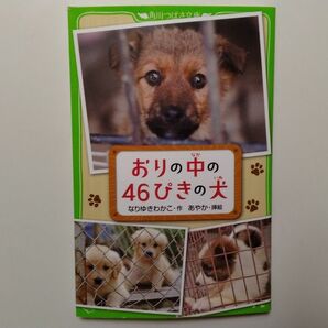 おりの中の46ぴきの犬