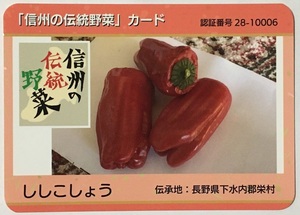 信州の伝統野菜カード　ししこしょう【長野県栄村】　　　　　　　　　　　　　　　　　　　　　　　　　検　ダムカード　マンホールカード