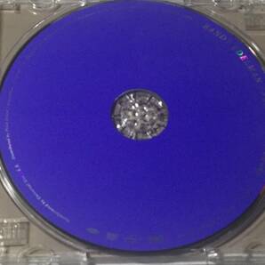 廃盤/リマスター国内盤帯付CD/AOR/ランディ・エデルマン/フェアウェル・フェアバンクス #アンドリュー・ゴールド/ブルース・ジョンストンの画像7