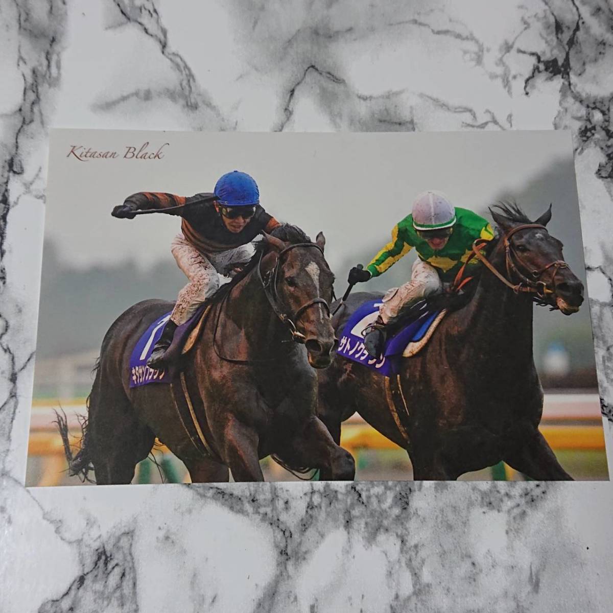 ヤフオク! -「天皇賞秋」(その他) (競馬)の落札相場・落札価格