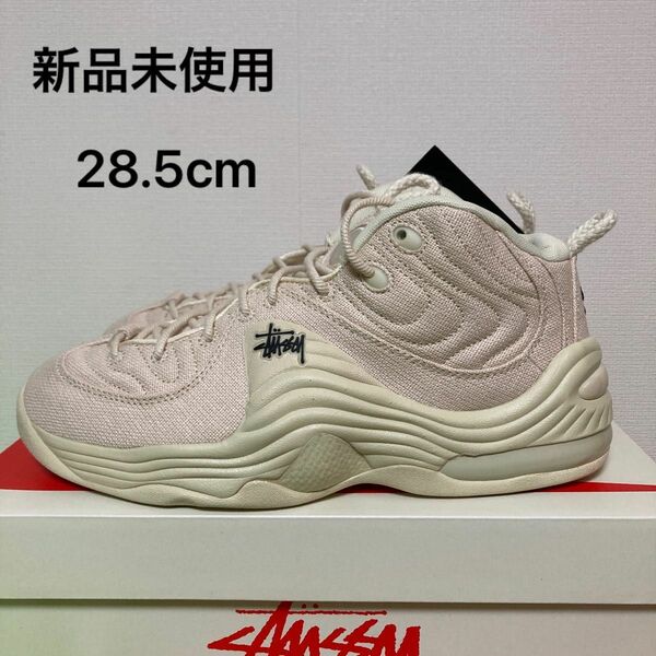 ステューシー× ナイキ　Air Penny 2 