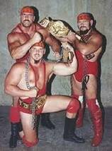 NWA世界タッグベルト スタン・ハンセン＆オレイ・アンダーソン、ロックンロール・エキスプレス奪取ベルト_画像9