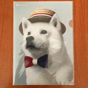 お父さん犬 クリアファイル SoftBank