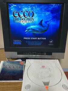  junk Dreamcast ecco THE DOLPHIN ~DEFENDER OF THE FUTURE~