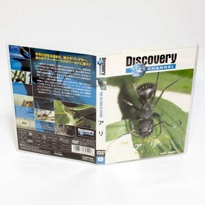  Discovery канал есть .ANTS DVD * внутренний стандартный DVD* бесплатная доставка * быстрое решение 