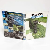 ディスカバリーチャンネル アリ 蟻 ANTS DVD ◆国内正規 DVD◆送料無料◆即決_画像1