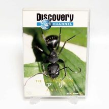 ディスカバリーチャンネル アリ 蟻 ANTS DVD ◆国内正規 DVD◆送料無料◆即決_画像3