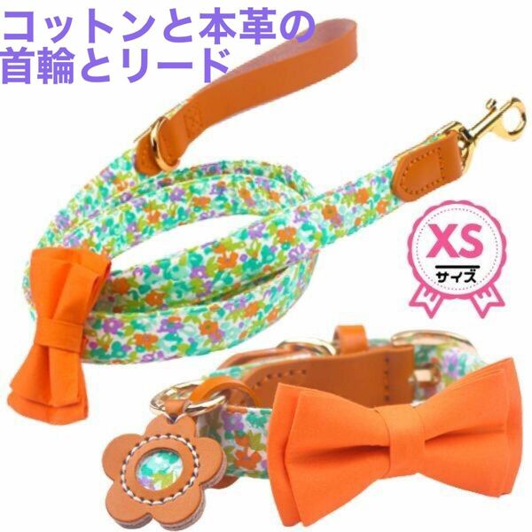 首輪☆リード☆セット★花柄★コットン★牛革★タグ付★XS☆22-28㎝★1点のみ