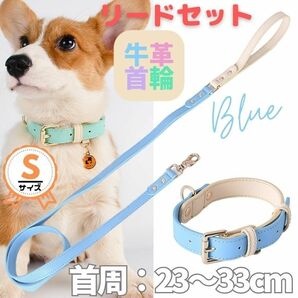 首輪・リードセット★ブルー★Sサイズ★パステル・バイカラー★革☆小型犬