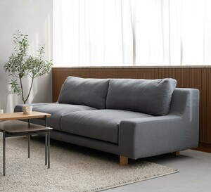  sofa 2 seater . stylish Northern Europe sofa 2.5 seater . living gray arm less daytime . with legs width 170cm