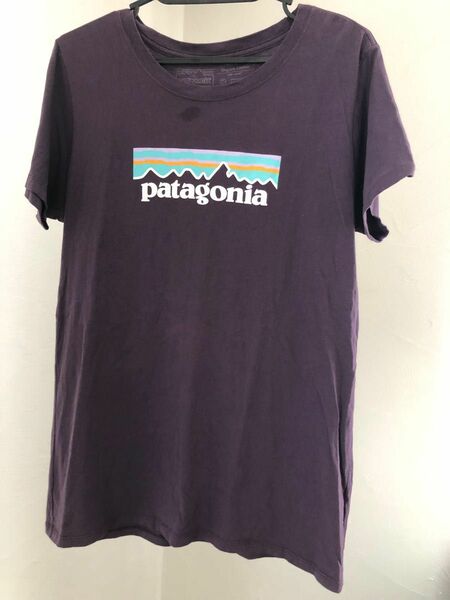 ■patagonia パタゴニアプリントロゴTシャツ（海外Sサイズ）