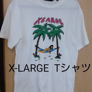 X-LARGE Tシャツ 白 Mサイズ メンズ