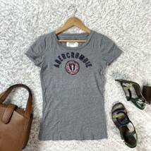 Abercrombie&Fitch アバクロンビー＆フィッチ 半袖Tシャツ グレー S YA3300_画像1