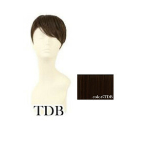 plisila мужской 5 минут парик распорка Short жаростойкий темно-коричневый GB-21-TDB