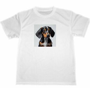 ミニチュア　ダックス　ドライ　Tシャツ　２　犬　ペット　イヌ　グッズ　ダックスフンド　ダックスフント