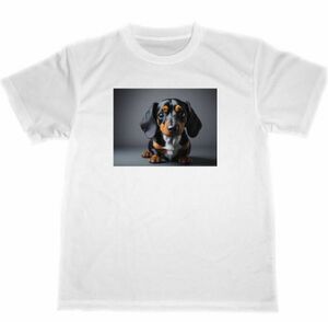 ミニチュア　ダックス　ドライ　Tシャツ　犬　ペット　イヌ　グッズ　ダックスフンド　ダックスフント