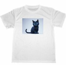 ロシアンブルー　ドライ　Tシャツ　猫　ネコ　黒猫　ペット　グッズ_画像1