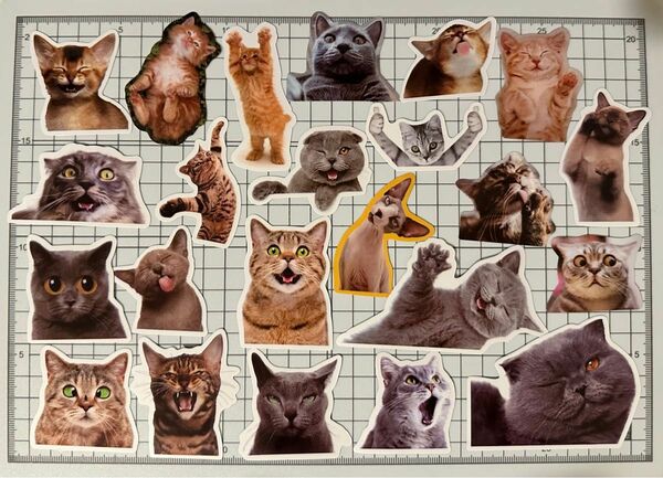 ネコ ステッカー 猫 ダイカットシール ごほうびシーコーティング コレクション コラージュ