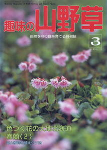 【趣味の山野草】1991.03 ★ 色づく花の大地北海道 春蘭(2)