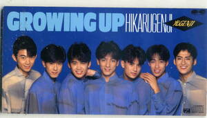 「GROWING UP」光GENJI CD