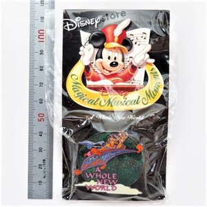 ピンズ ディズニーストア アラジン Disney Magical Musical Moments Pin#41 A Whole New World 直径約4cm未使用未開封ピンバッジピンバッチ