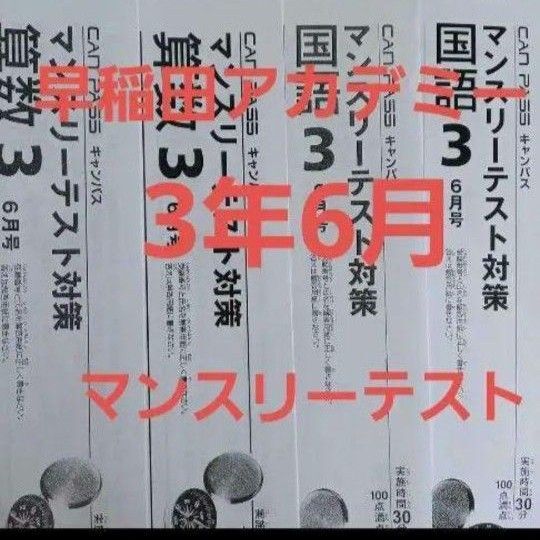 早稲田アカデミー 3年 6月 マンスリーテスト