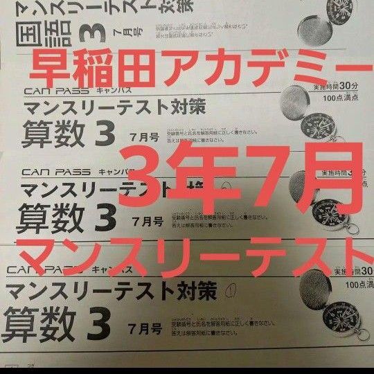 早稲田アカデミー 3年 7月 マンスリーテスト