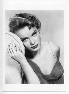 ［フォト5x7］ アン・フランシス Anne Francis #18 映画女優写真(中)