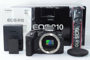 ★超美品★ キャノン Canon EOS R10 ボディ