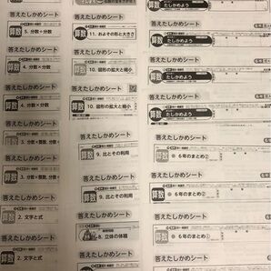 最新版 小学校 6年 算数 カラーテスト てびきシート