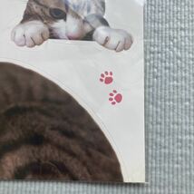 すずめちゃん　猫　ネコ　ねこ　CAT 肉球　ウォールステッカー　シール　携帯　ステッカー　送料120円〜_画像6