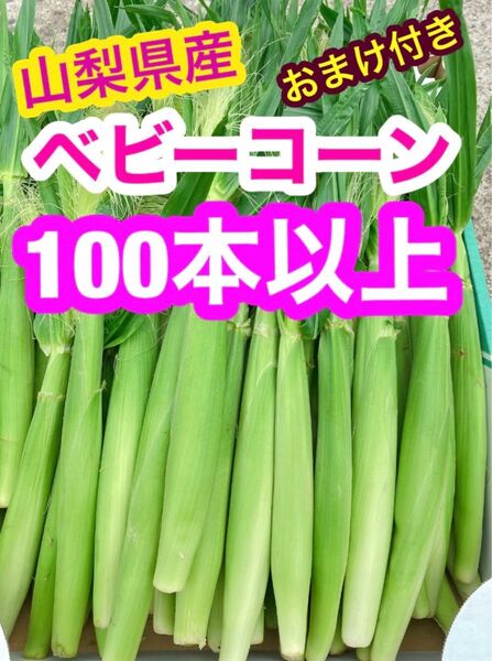 z3ゲリラ出品!本日発送!朝採り 山梨県産 ヤングコーン、ベビーコーン 100本