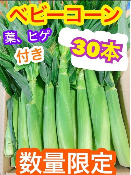 a37!ゲリラ出品!朝採り 山梨県産 ヤングコーン、ベビーコーン 30本