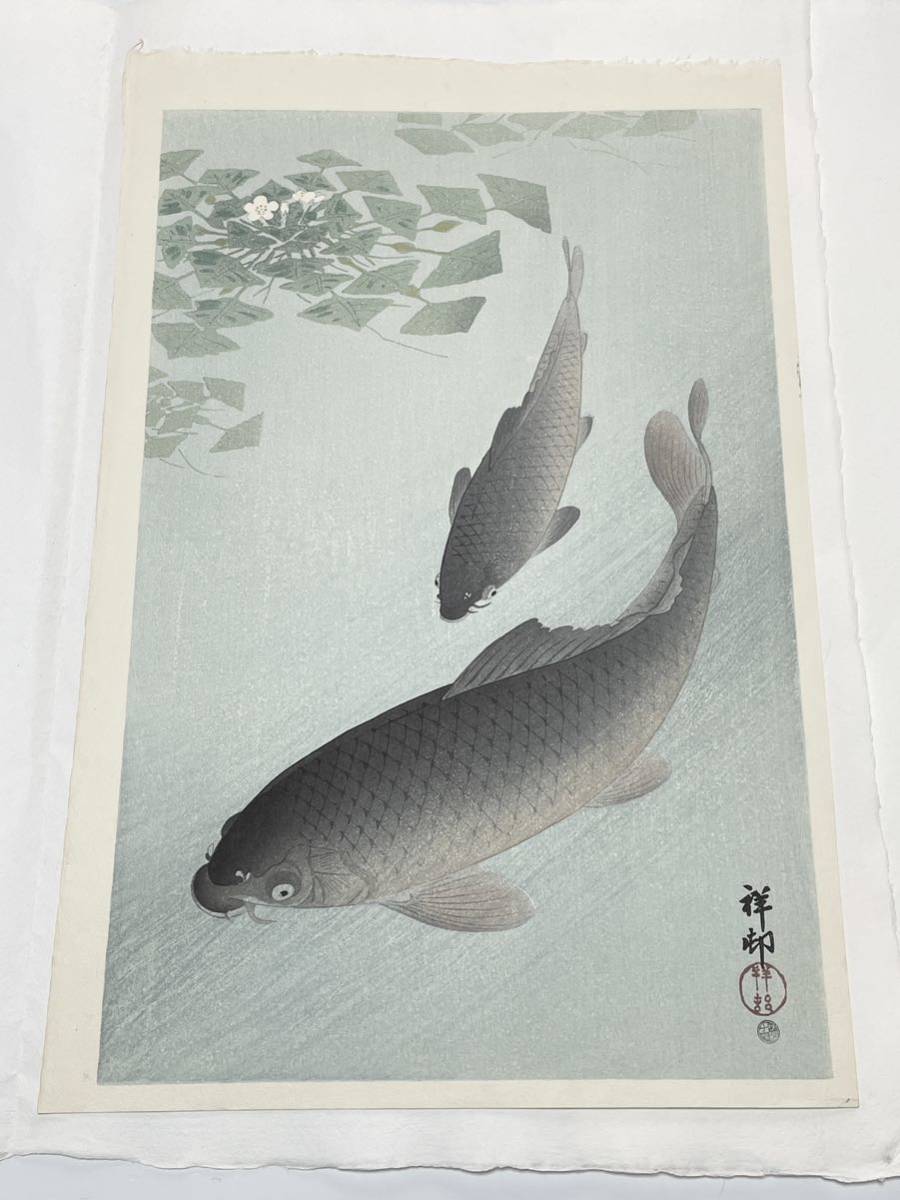 即決！真作 小原古邨(祥邨)金魚の木版画③(検索＝新版画 魚類 大野麦風