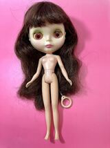 ヴィンテージブライス ブラウンヘア Kenner Blythe_画像1