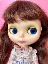 ヴィンテージブライス ブラウンヘア Kenner Blythe_画像2