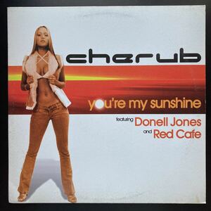 12inch CHERUB / YOU'RE MY SUNSHINE [プロモ盤]