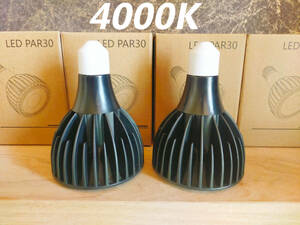 [ free shipping ] plant rearing light 30W 4000K 2 piece black color sun light full spec ktoruLED