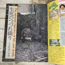 SA18-71 ■ 禅の友別冊 禅の風　1981年 No.1 創刊号 ■ 石原慎太郎/小椋佳/川上哲治/森本和夫/森山良子 ＊レトロ＊ジャンク 【同梱不可】_画像7