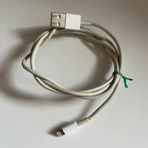 Apple 純正 iPhone ライトニングケーブル Lightningケーブル 充電ケーブル USB アイフォン ipad pro iphone13 iPhone14 iPod Mac 充電器