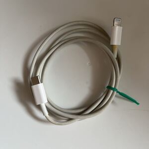 Apple 純正 iPhone タイプC ライトニングケーブル Lightningケーブル Type-C 充電ケーブル USB アイフォン ipad pro iPhone14 Mac 充電器