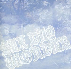 ＳＩＸ　ＤＡＹ　ＷＯＮＤＥＲ／ストレイテナー