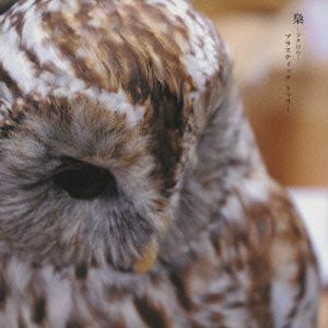 梟－フクロウ－（初回限定盤Ｂ）（ＤＶＤ付）／Ｐｌａｓｔｉｃ　Ｔｒｅｅ