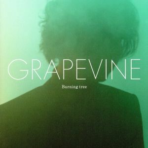 Ｂｕｒｎｉｎｇ ｔｒｅｅ （初回限定版） ＧＲＡＰＥＶＩＮＥ