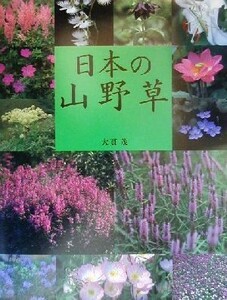 日本の山野草／大貫茂(著者)