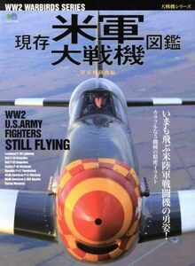 現存米軍大戦機図鑑／政治