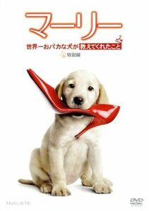 マーリー　世界一おバカな犬が教えてくれたこと　特別編／オーウェン・ウィルソン,ジェニファー・アニストン,エリック・デイン,デヴィッド