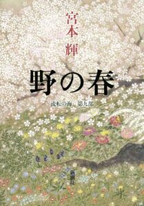 .. весна . вращение. море no. 9 часть | Miyamoto Teru ( автор )